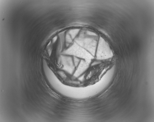 X0000070181355200606231936