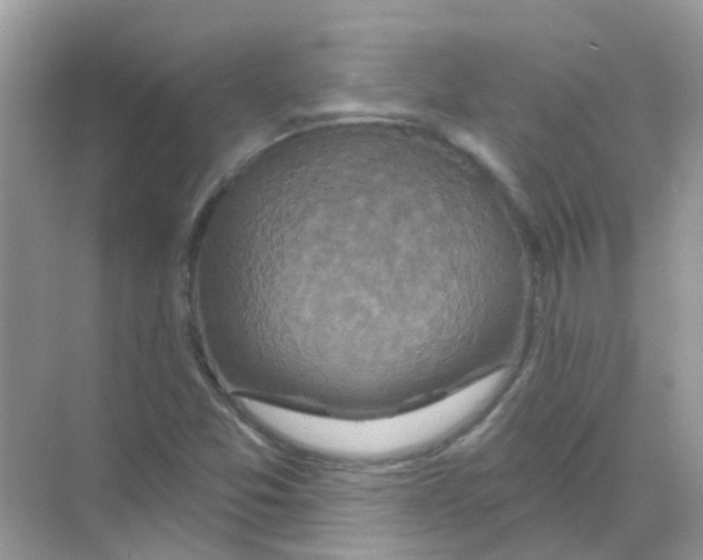 X0000070181357200606231936