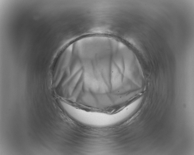 X0000070181358200606231936