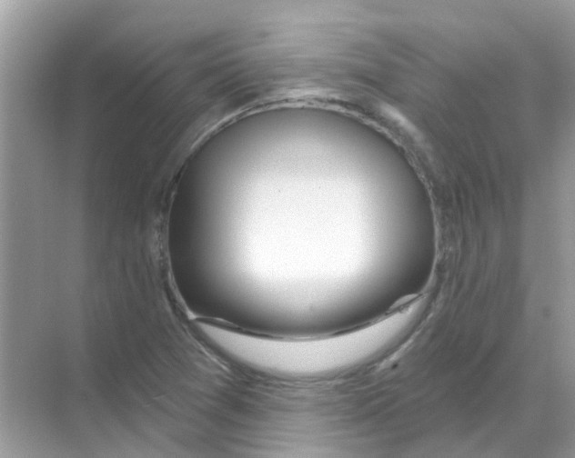 X0000070181361200606231936