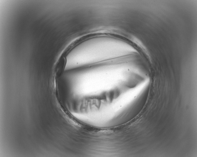 X0000070181368200606231936