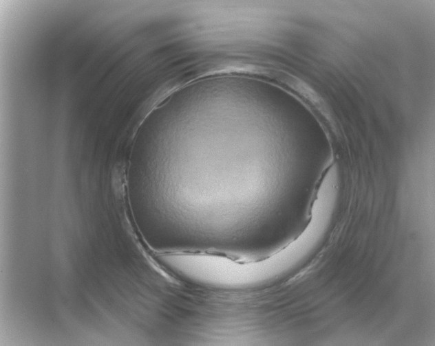 X0000070181377200606231935