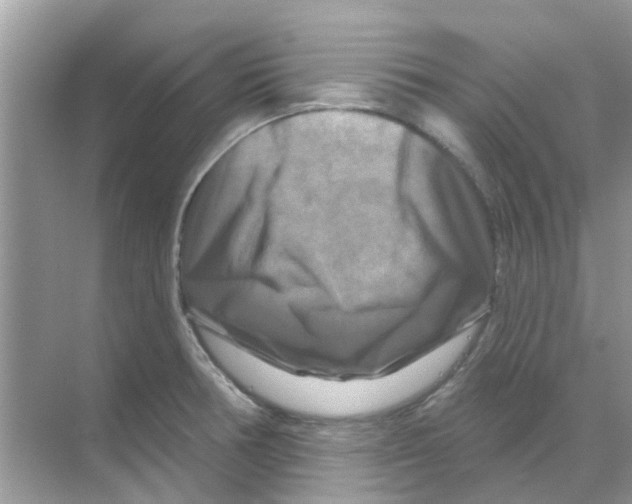 X0000070181378200606231935
