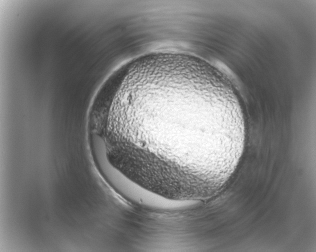 X0000070181384200606231935