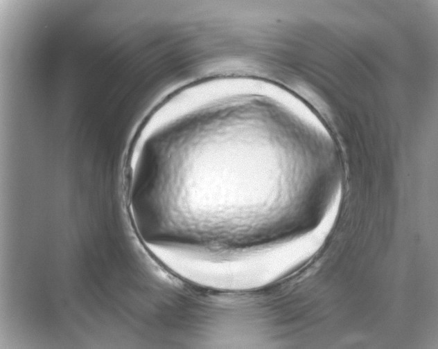 X0000070181392200606231935
