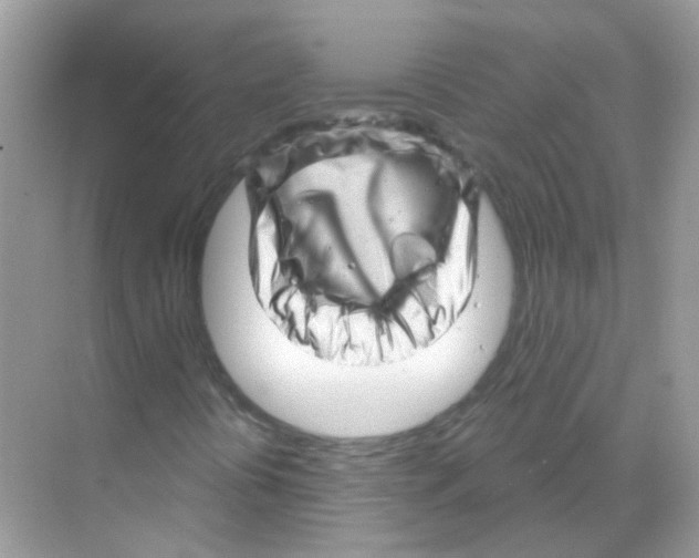 X0000070181394200606231934