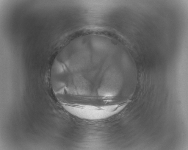 X0000070181397200606231934