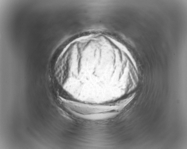 X0000070181400200606231935