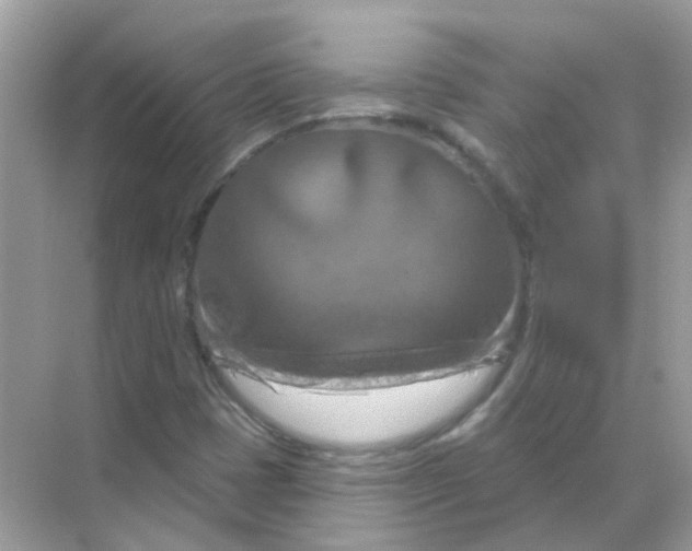 X0000070181401200606231935