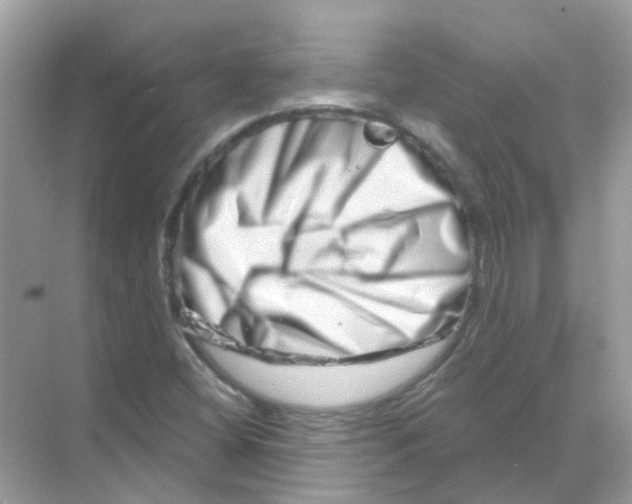 X0000070181404200606231935