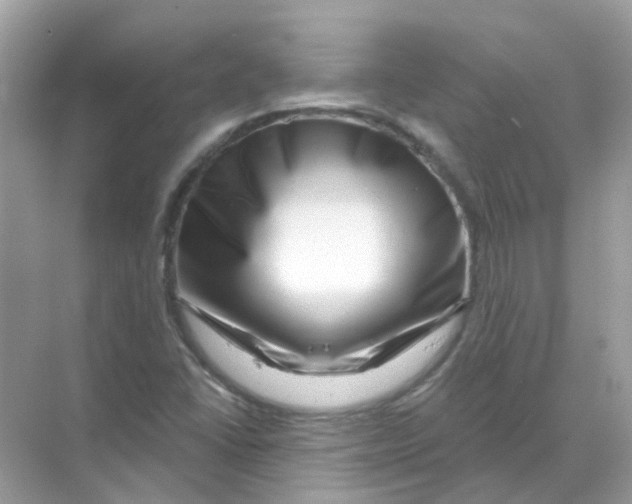 X0000070181406200606231935