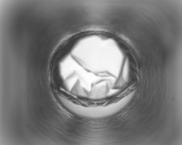 X0000070181408200606231935