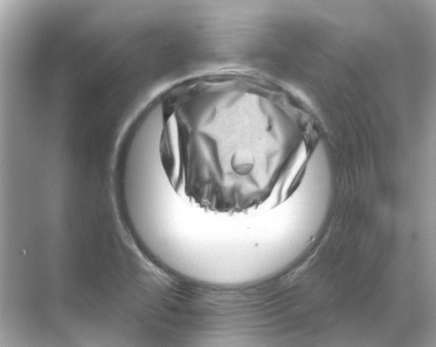 X0000070181414200606231935