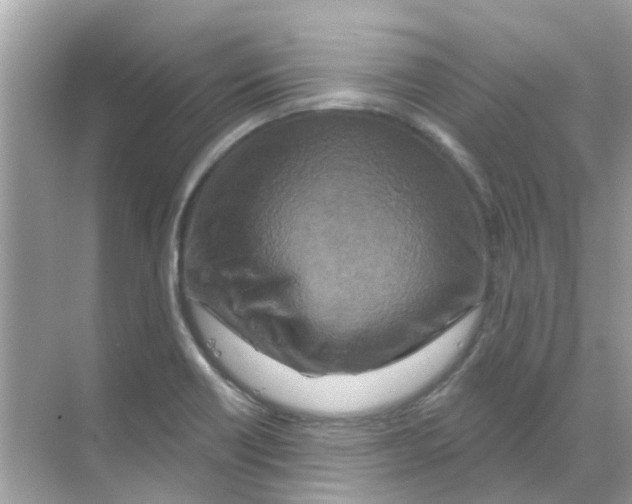 X0000070181418200606231935