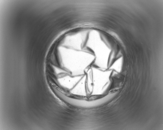 X0000070181424200606231935