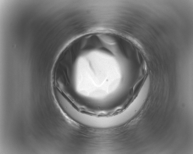 X0000070181430200606231935