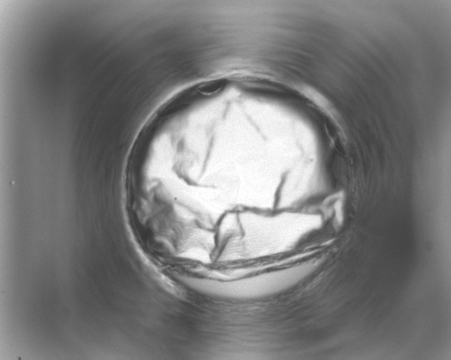 X0000070181431200606231935