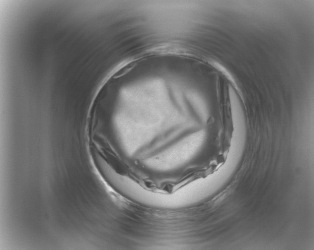 X0000070181434200606231935