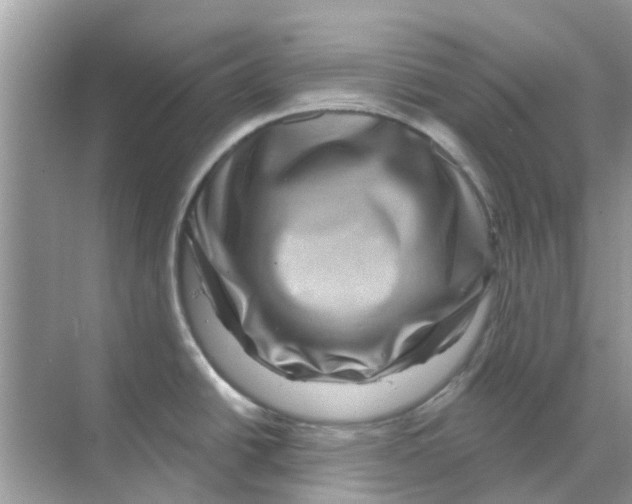 X0000070181438200606231935
