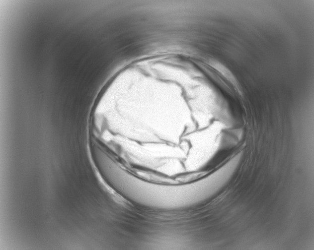 X0000070181439200606231935