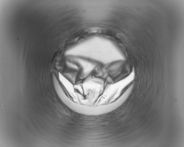 X0000070181442200606231934