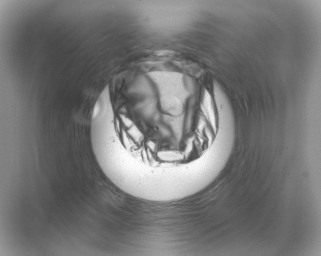 X0000070181443200606231934