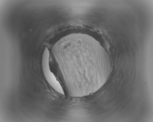 X0000070181445200606231934