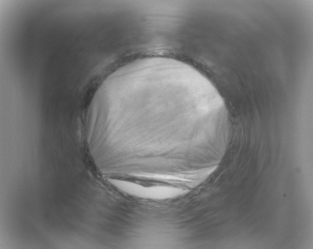 X0000070181446200606231934