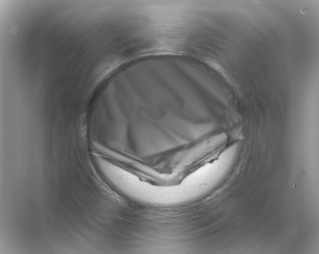X0000070181450200606231934