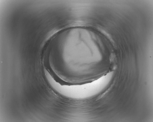X0000070181453200606231934
