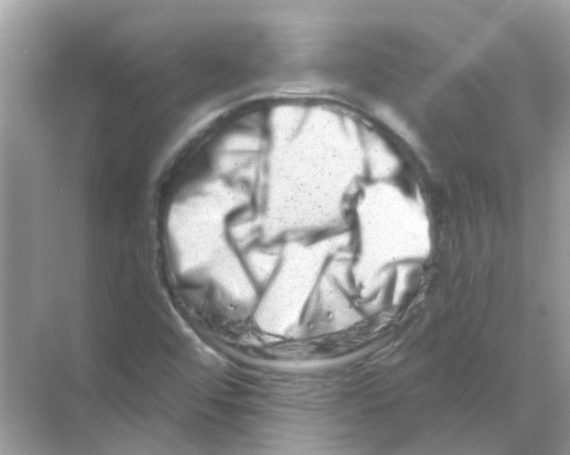 X0000070181456200606231934