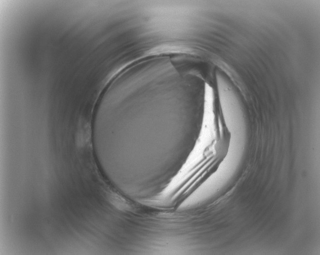 X0000070181465200606231934