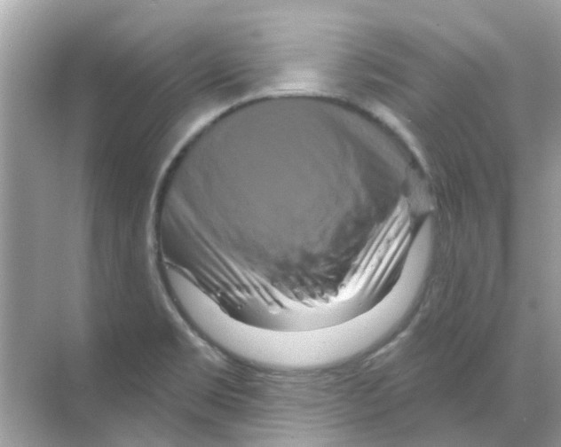 X0000070181469200606231934