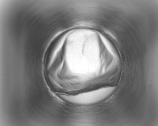 X0000070181471200606231934