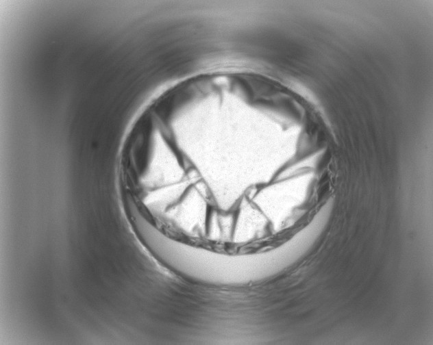 X0000070181472200606231934