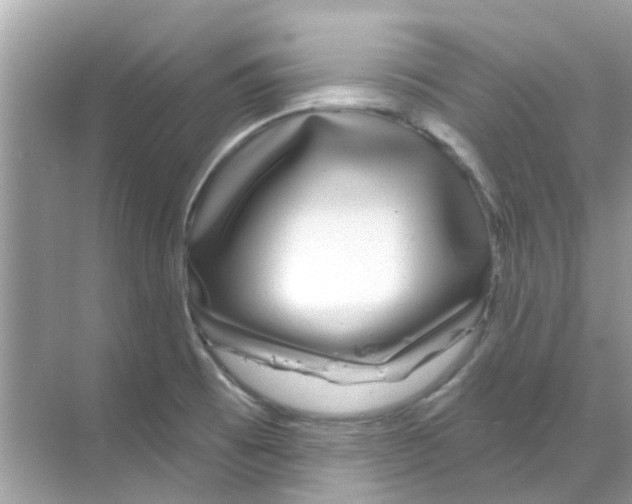 X0000070181473200606231934