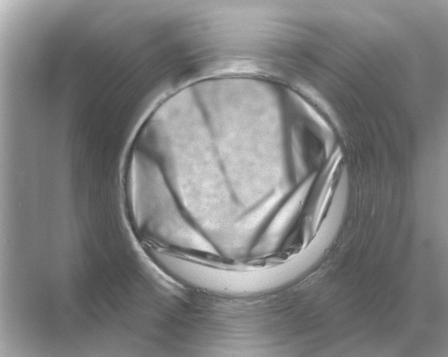 X0000070181475200606231934
