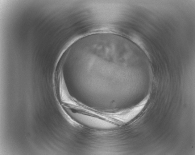 X0000070181482200606231934