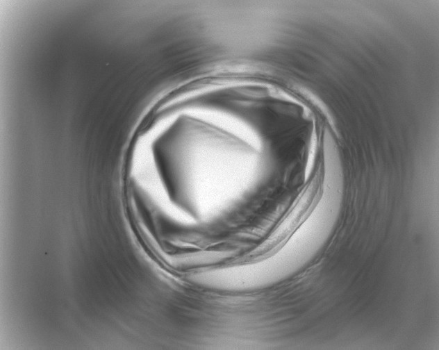 X0000070181483200606231934