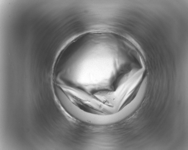 X0000070181485200606231934