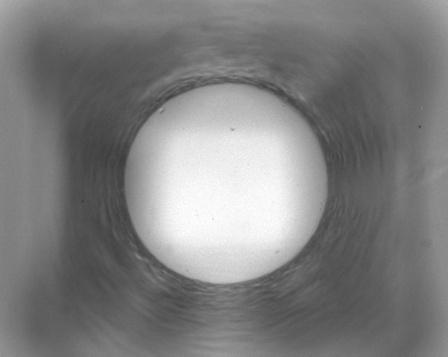 X0000070181492200606231933