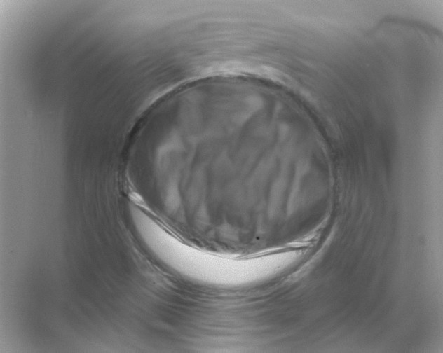 X0000070181497200606231933