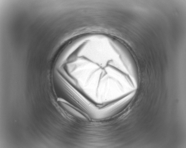 X0000070181499200606231933