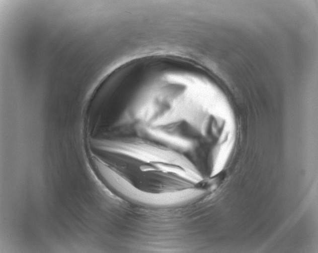 X0000070181500200606231933