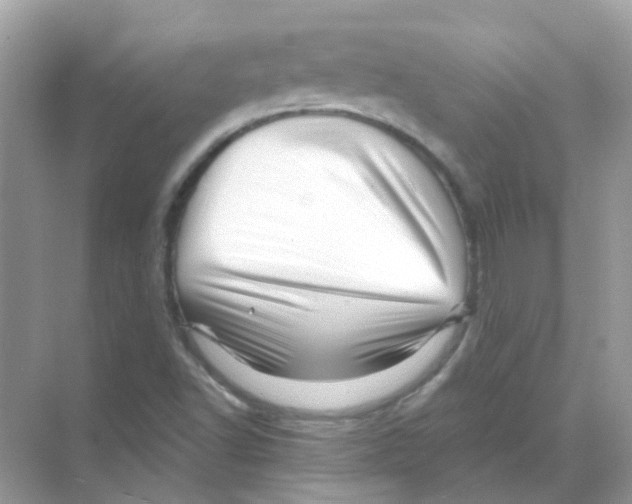 X0000070181502200606231933