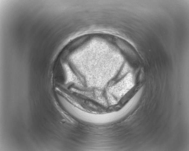 X0000070181507200606231933