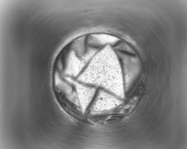 X0000070181512200606231933