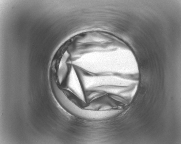 X0000070181516200606231933