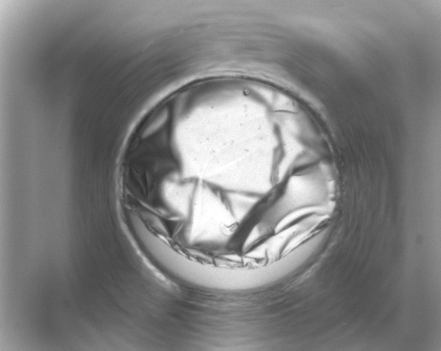 X0000070181517200606231933