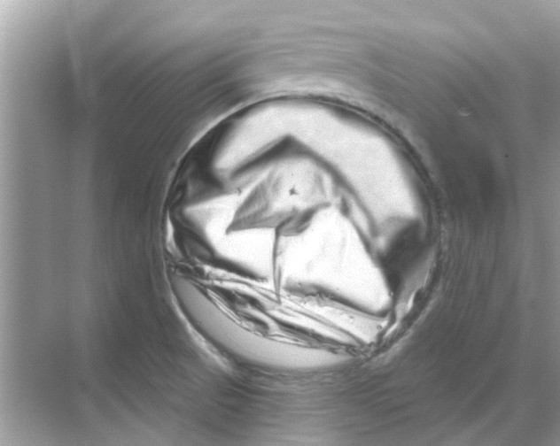 X0000070181521200606231933